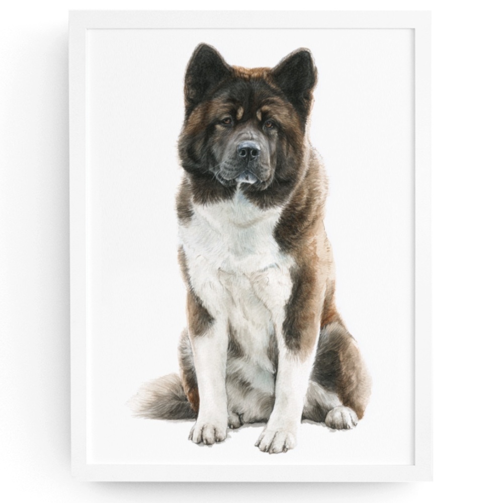 Watercolor Akita Dog Portrait Wall Art Print, Unframed - Majestic Canine Charm